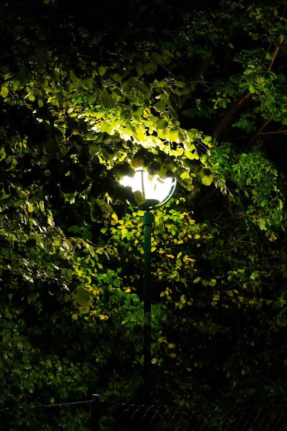 Night hiking adventure